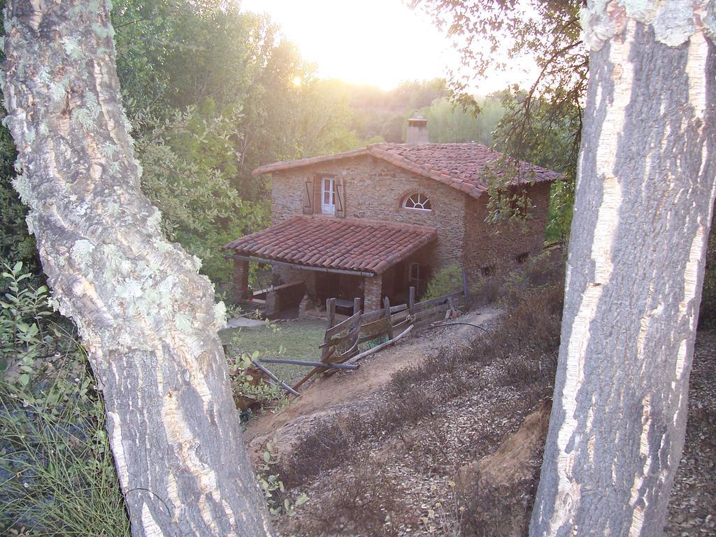 Casas El Alamillo- El Castanero Guest House Galaroza Exterior photo